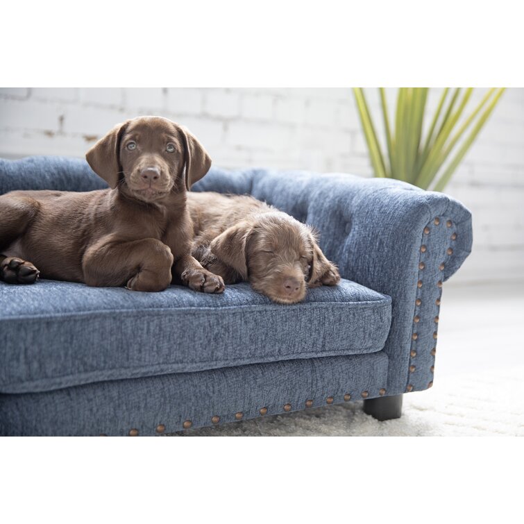 Dog sofa bed canada sale